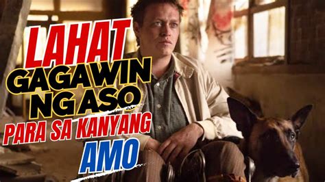 lalake kinantot ang aso|Lalaki hinihinalang pinatay ng mga alagang aso .